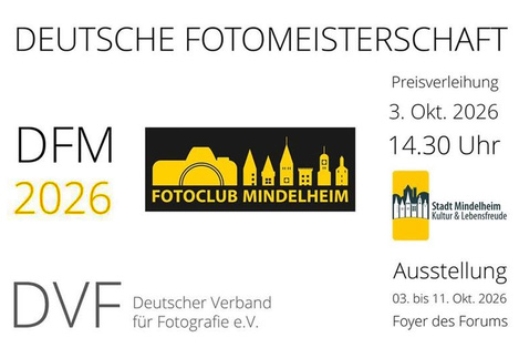 DFM 26
